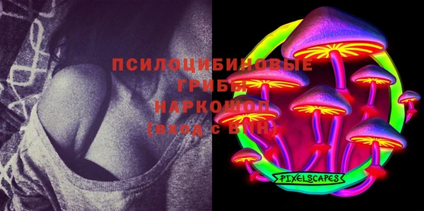 амф Сосновый Бор