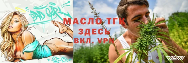индика Сосновоборск