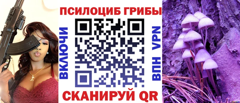 shop официальный сайт купить наркотики цена Калтан Псилоцибиновые грибы мухоморы